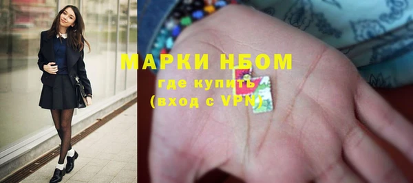 бошки Алексин