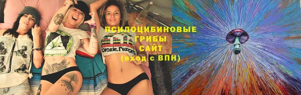 бошки Алексин