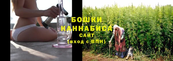 бошки Алексин