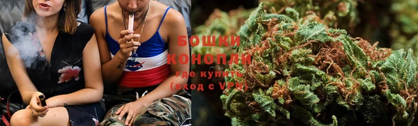 бошки Алексин